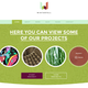 Illustration for article titled Build or Upgrade Your WordPress Site With 55% off Teslas Themes